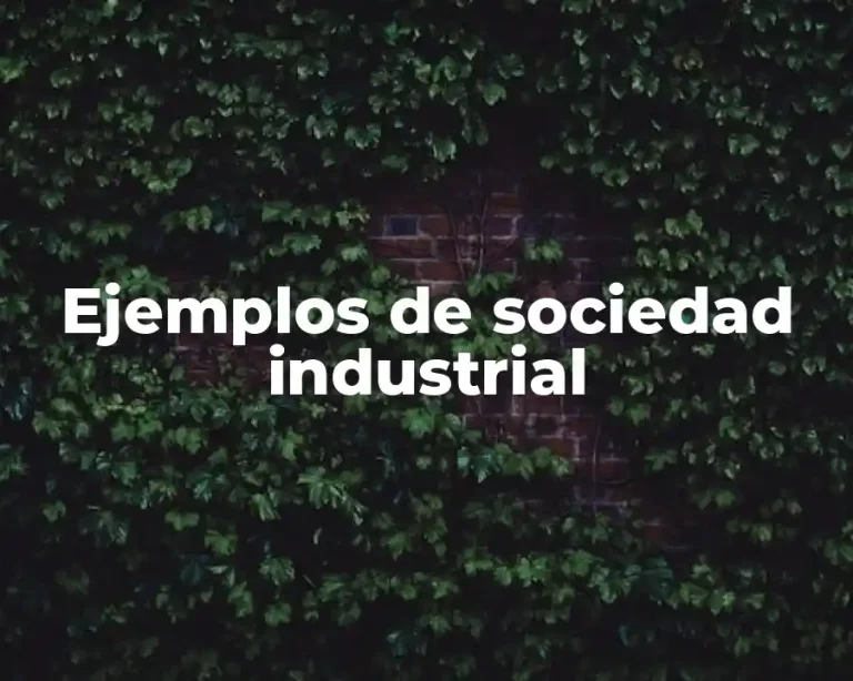 Ejemplos de sociedad industrial