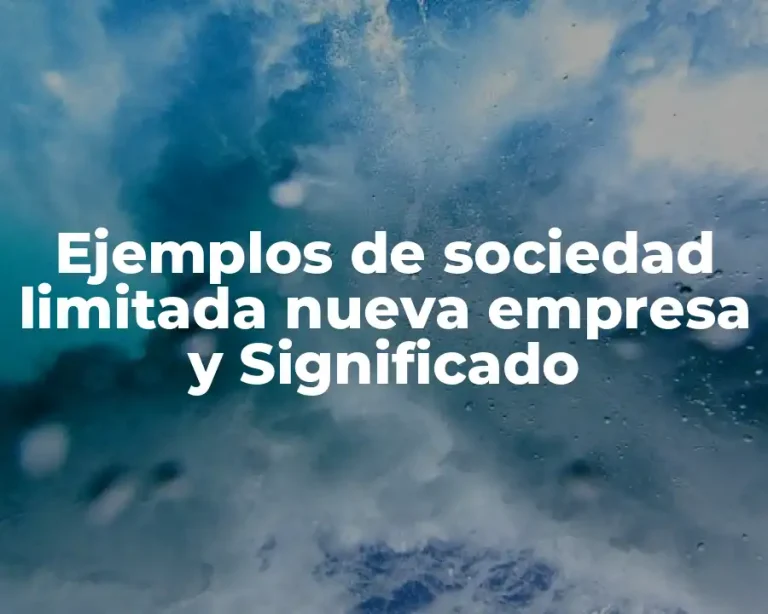 Ejemplos de sociedad limitada nueva empresa y Significado