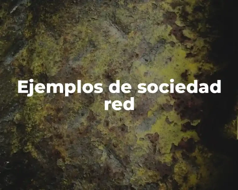 Ejemplos de sociedad red