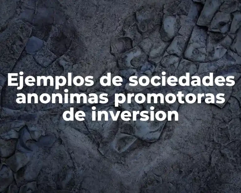 Ejemplos de sociedades anonimas promotoras de inversion