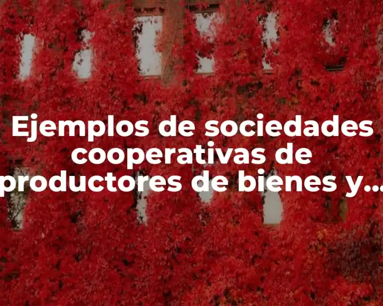 Ejemplos de sociedades cooperativas de productores de bienes y servicios