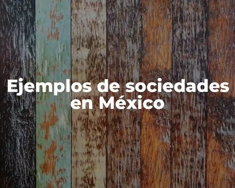 Ejemplos de sociedades en México