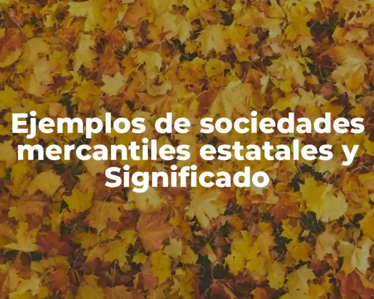 Ejemplos de sociedades mercantiles estatales y Significado