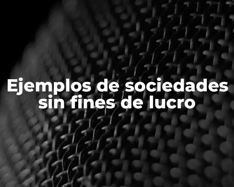 Ejemplos de sociedades sin fines de lucro