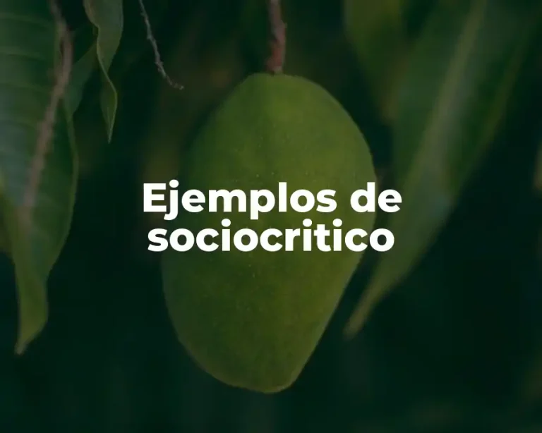 Ejemplos de sociocritico