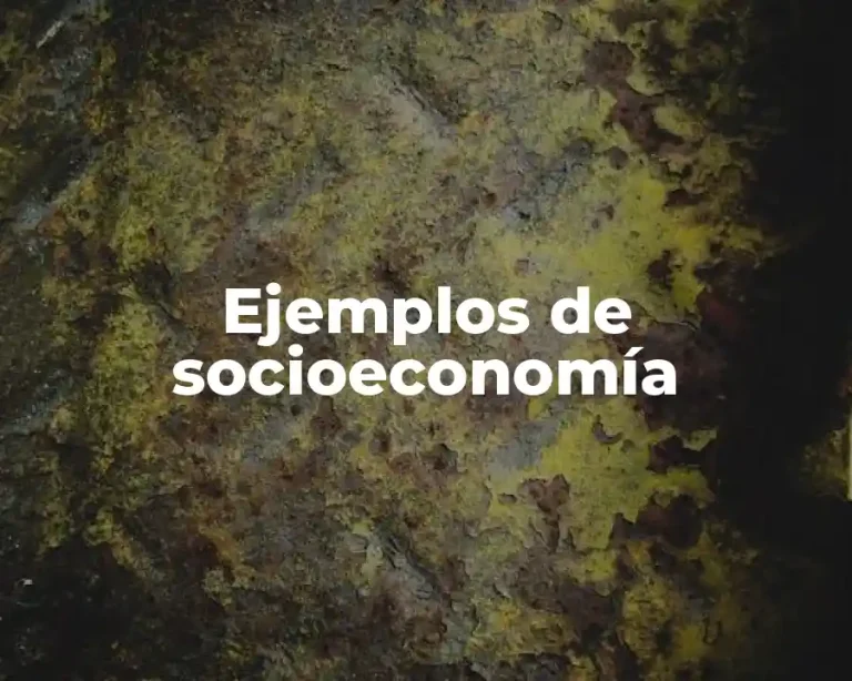 Ejemplos de socioeconomía