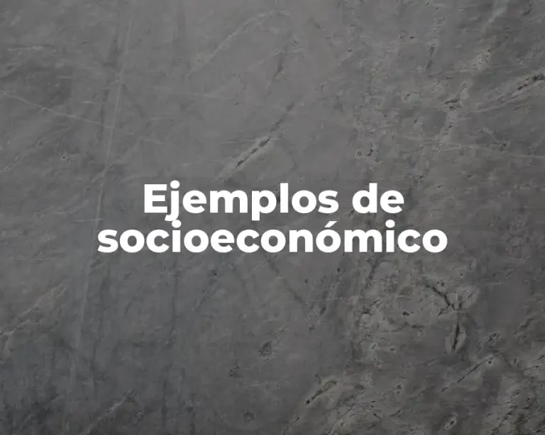 Ejemplos de socioeconómico