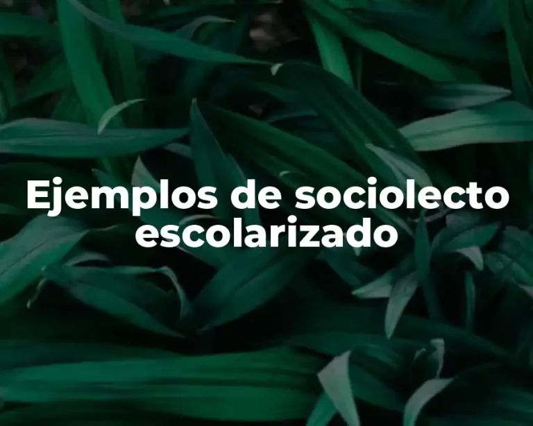 Ejemplos de sociolecto escolarizado