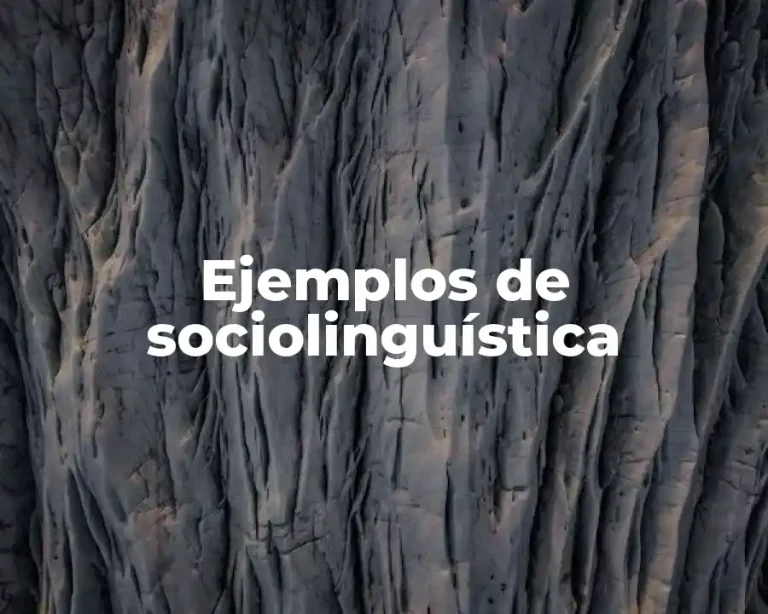 Ejemplos de sociolinguística