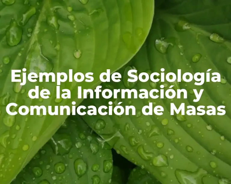 Ejemplos de Sociología de la Información y Comunicación de Masas