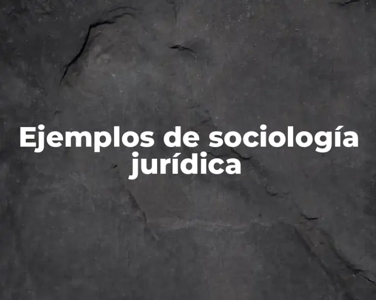 Ejemplos de sociología jurídica