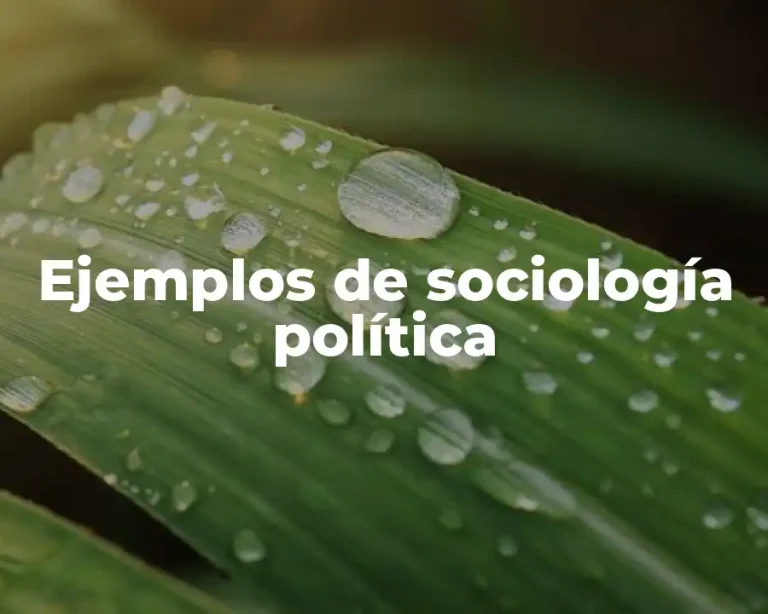 Ejemplos de sociología política