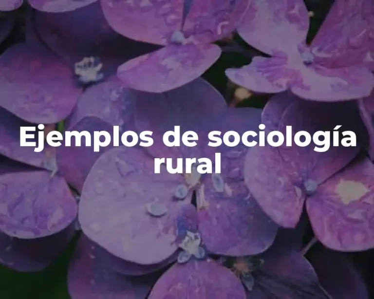 Ejemplos de sociología rural