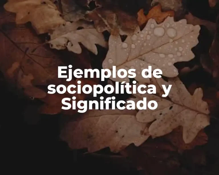 Ejemplos de sociopolítica y Significado