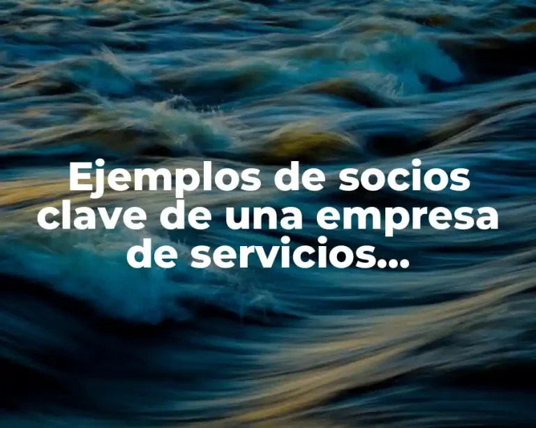 Ejemplos de socios clave de una empresa de servicios informáticos y Significado