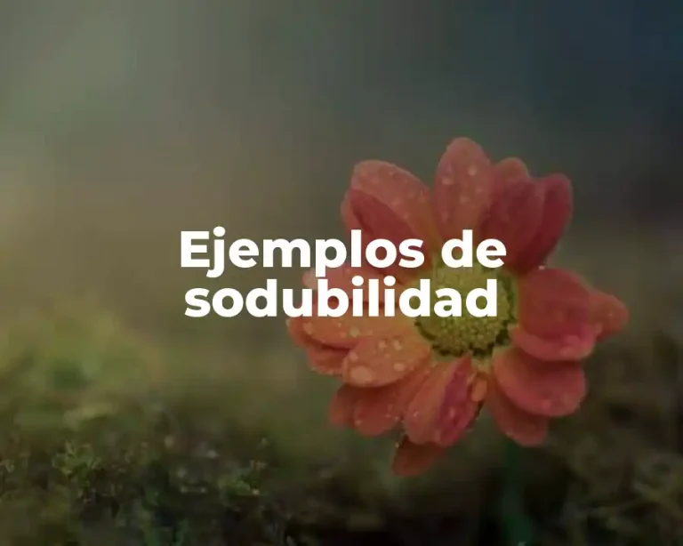Ejemplos de sodubilidad