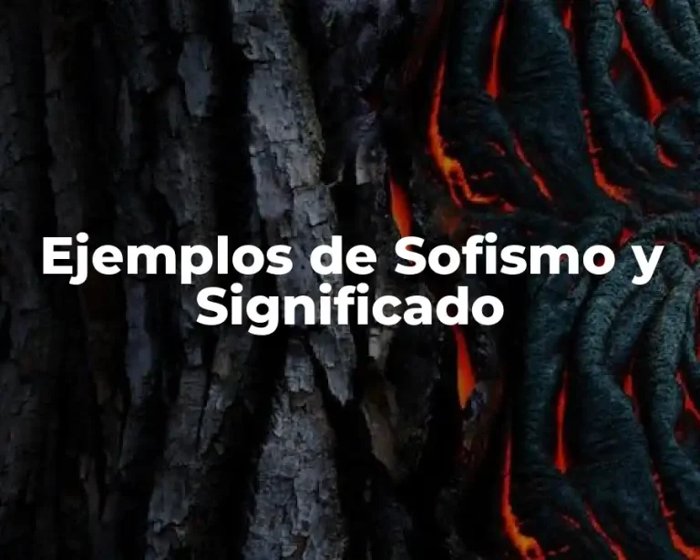 Ejemplos de Sofismo y Significado