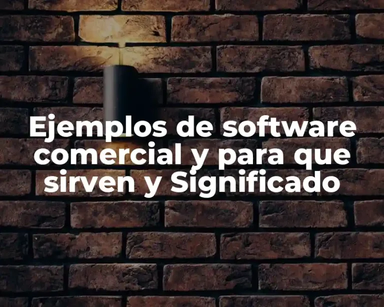 Ejemplos de software comercial y para que sirven y Significado