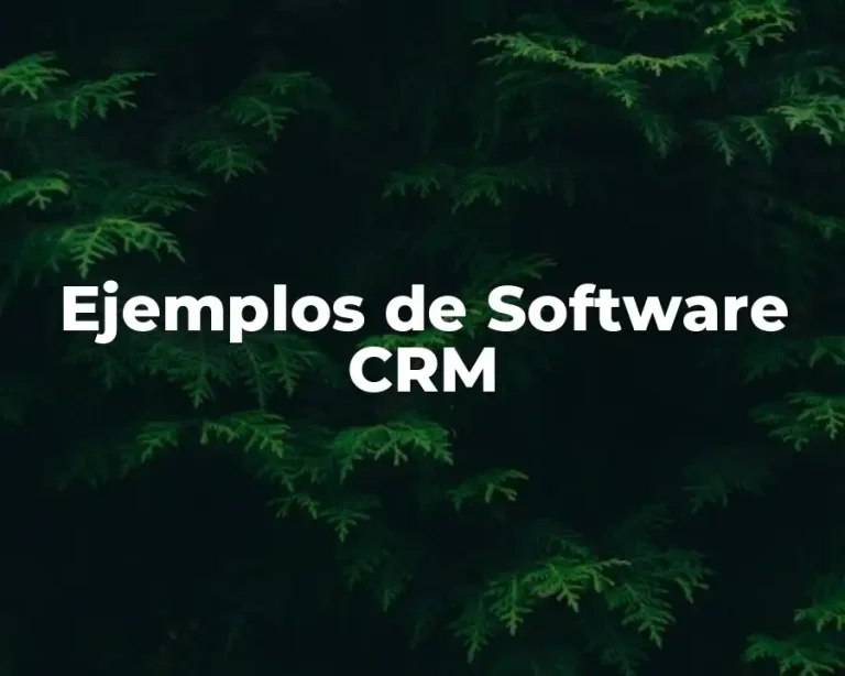 Ejemplos de Software CRM