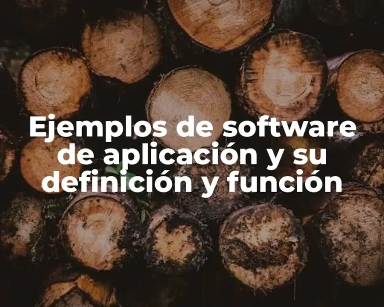 Ejemplos de software de aplicación y su definición y función