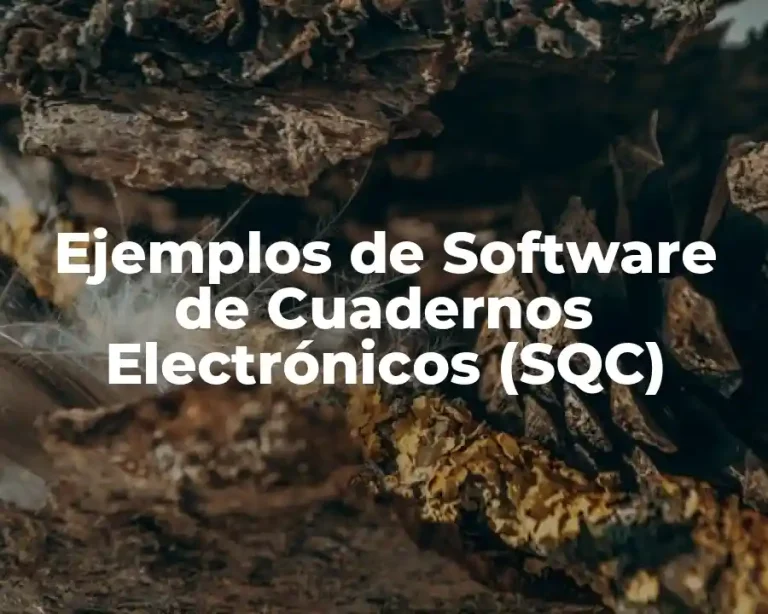 Ejemplos de Software de Cuadernos Electrónicos (SQC)