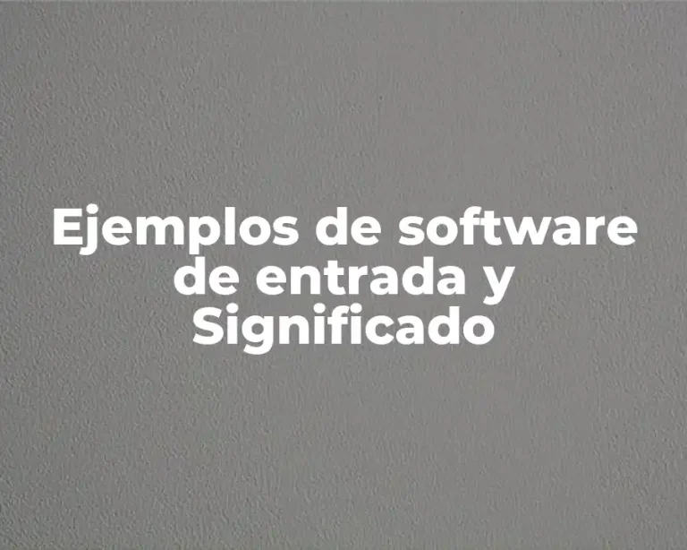 Ejemplos de software de entrada y Significado