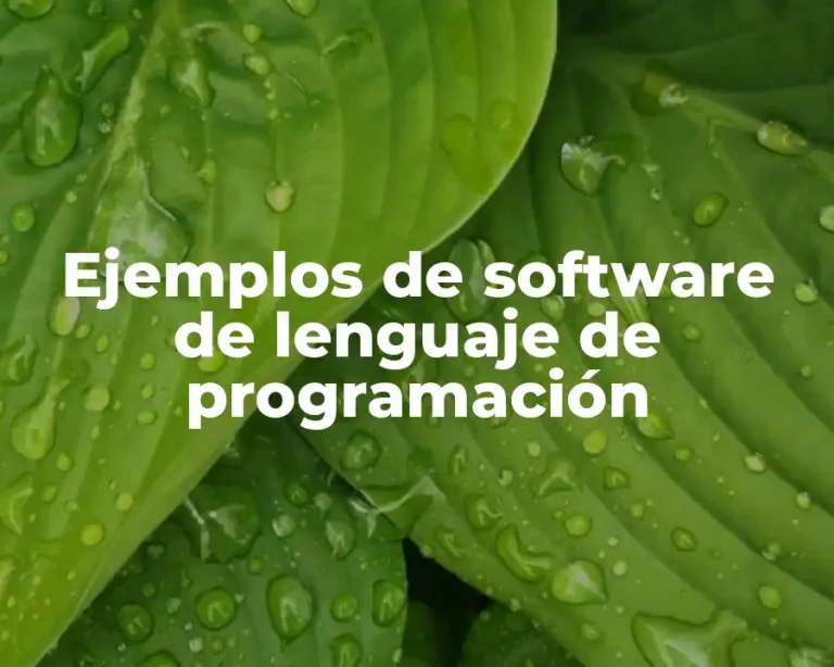 Ejemplos de software de lenguaje de programación