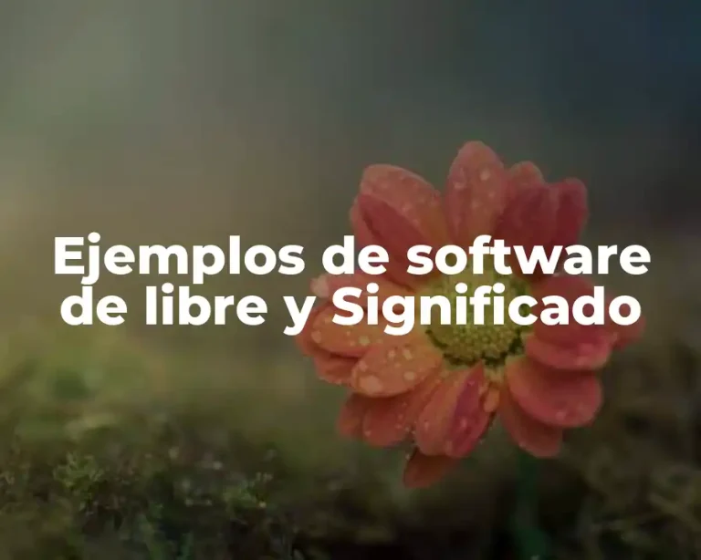 Ejemplos de software de libre y Significado