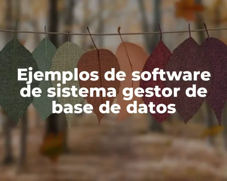 Ejemplos de software de sistema gestor de base de datos