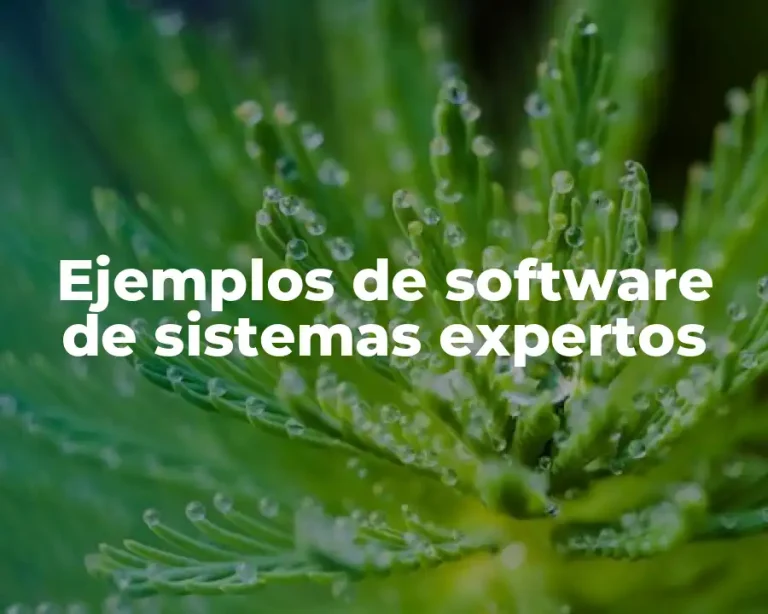 Ejemplos de software de sistemas expertos