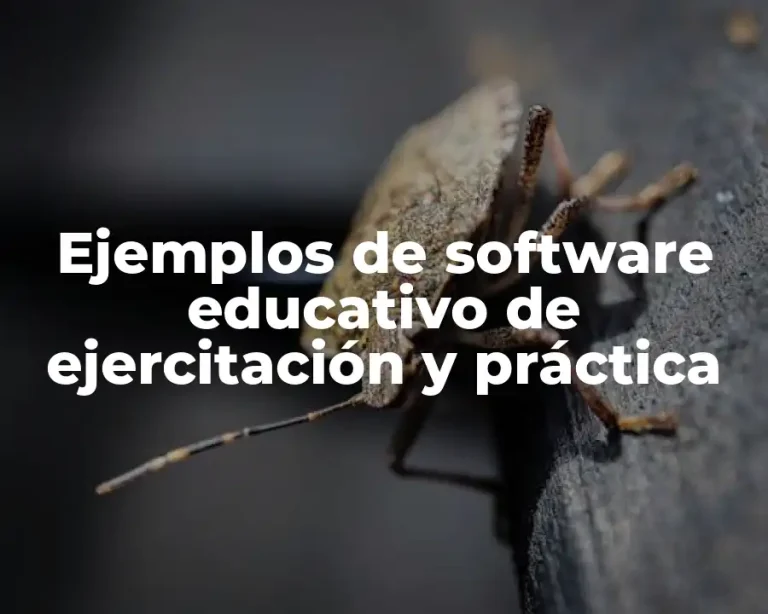 Ejemplos de software educativo de ejercitación y práctica