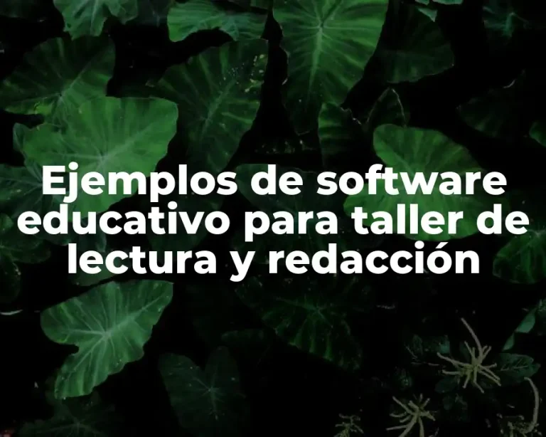Ejemplos de software educativo para taller de lectura y redacción