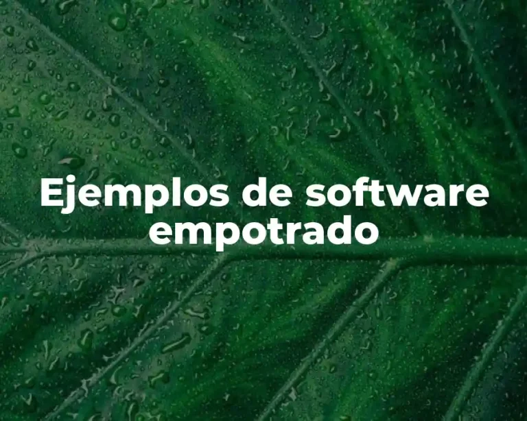 Ejemplos de software empotrado