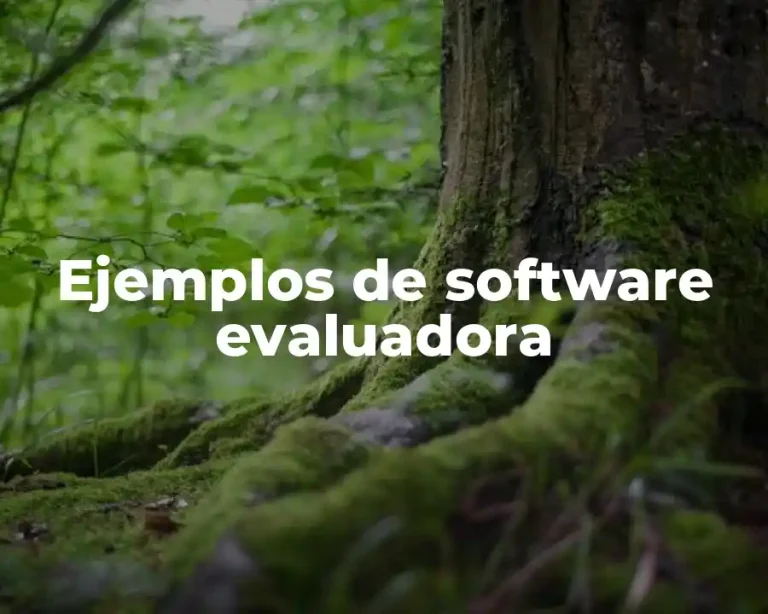 Ejemplos de software evaluadora