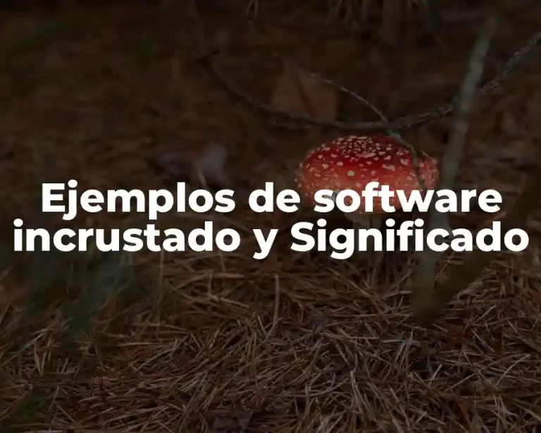 Ejemplos de software incrustado y Significado