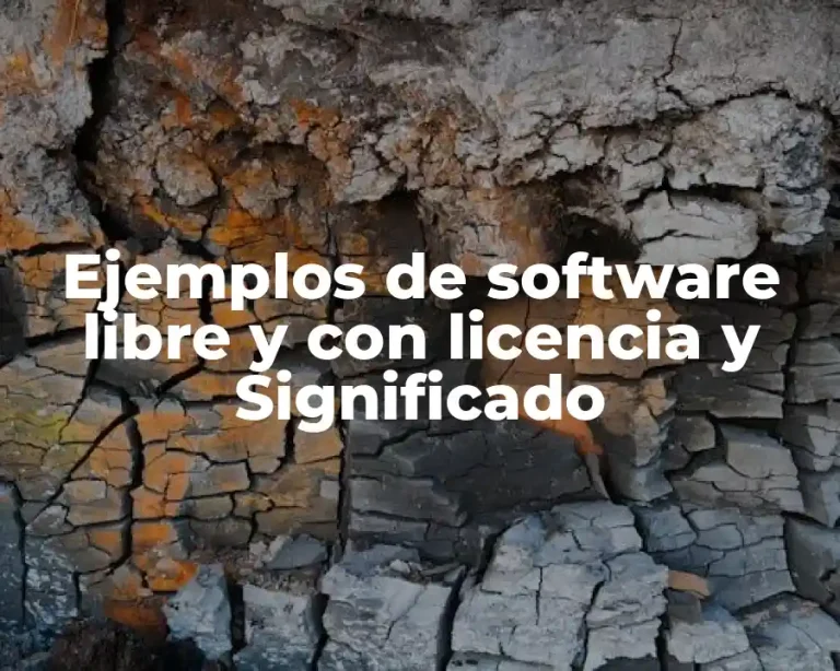 Ejemplos de software libre y con licencia y Significado