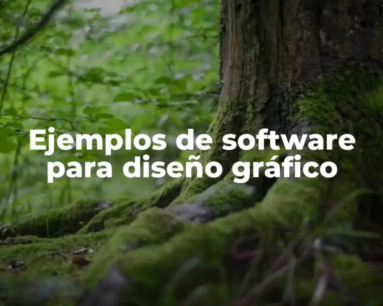 Ejemplos de software para diseño gráfico