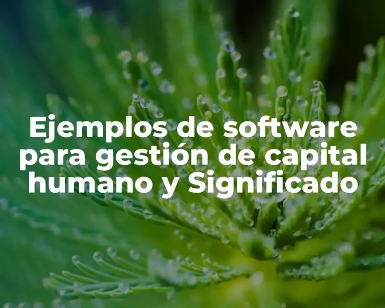 Ejemplos de software para gestión de capital humano y Significado