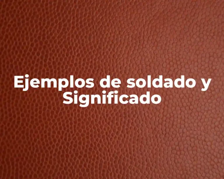 Ejemplos de soldado y Significado