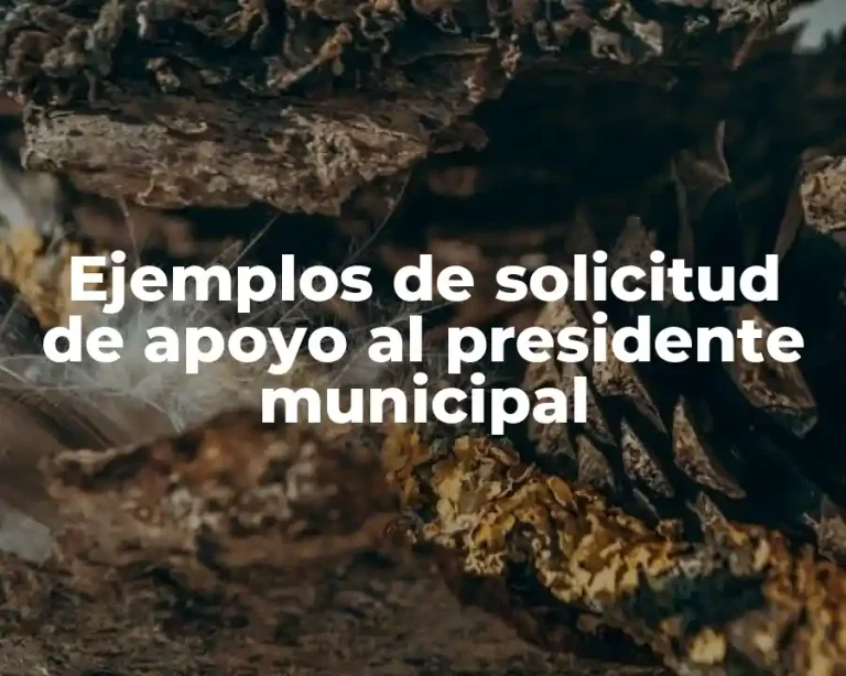 Ejemplos de solicitud de apoyo al presidente municipal