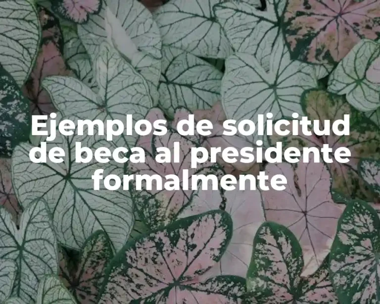 Ejemplos de solicitud de beca al presidente formalmente