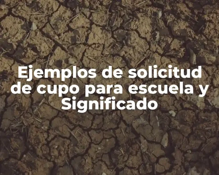 Ejemplos de solicitud de cupo para escuela y Significado