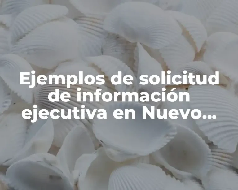 Ejemplos de solicitud de información ejecutiva en Nuevo León