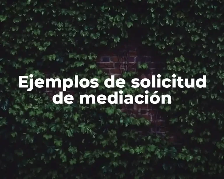 Ejemplos de solicitud de mediación