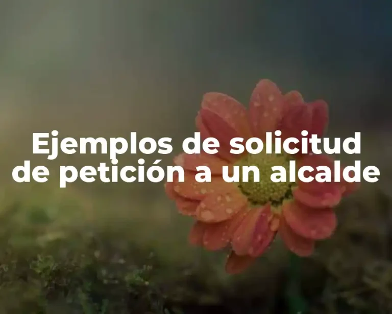 Ejemplos de solicitud de petición a un alcalde
