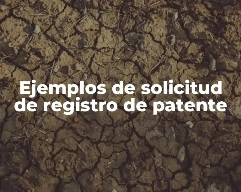 Ejemplos de solicitud de registro de patente