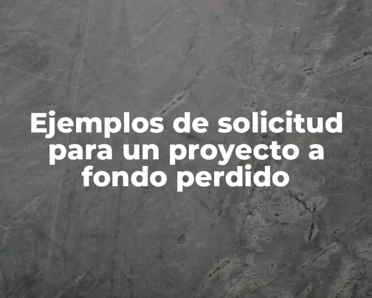 Ejemplos de solicitud para un proyecto a fondo perdido