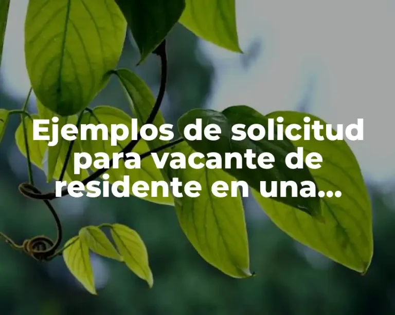 Ejemplos de solicitud para vacante de residente en una empresa