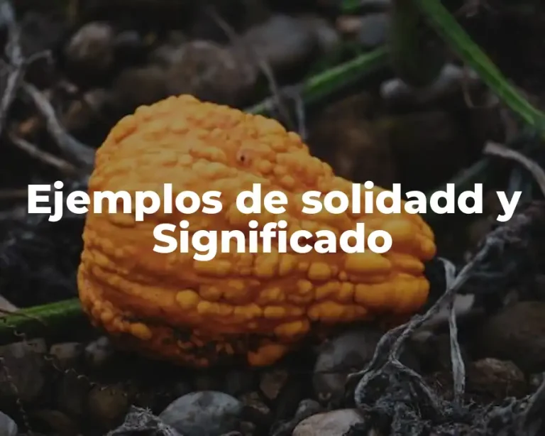 Ejemplos de solidadd y Significado