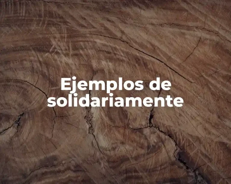 Ejemplos de solidariamente